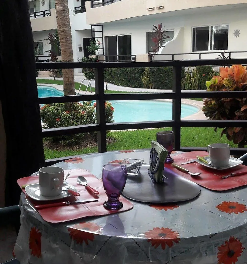 Vida Nueva Bed&Breakfast Peregrina 普拉亚卡门